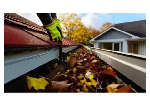 Professional Gutter Cleaning in the Eastern Suburbs