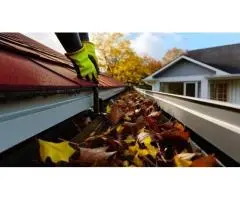 Professional Gutter Cleaning in the Eastern Suburbs