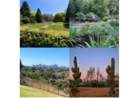 Best Melbourne Wedding Venues