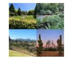 Best Melbourne Wedding Venues