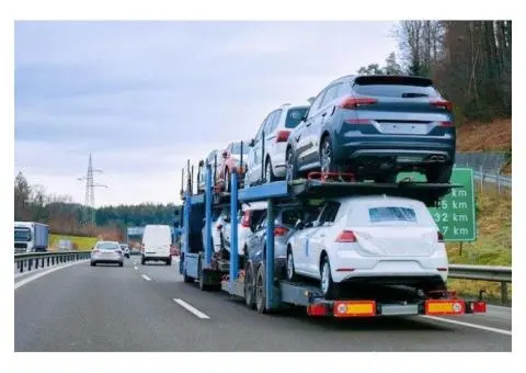 Affordable Car Transport Service in Forest Lake