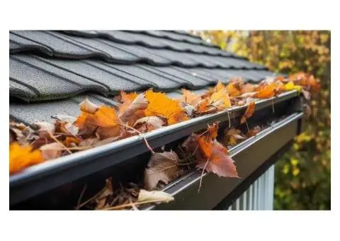 Keep Your Gutters Clean & Protected — Sydney’s Trusted Gutter Experts!