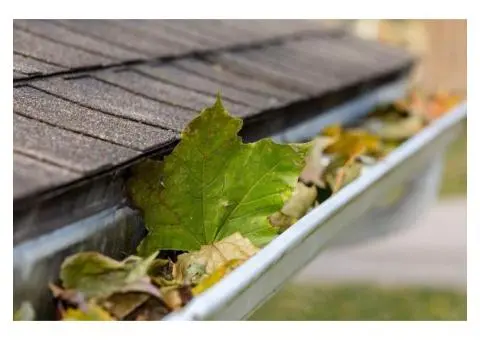 Professional Gutter Cleaning in Sydney’s Inner West