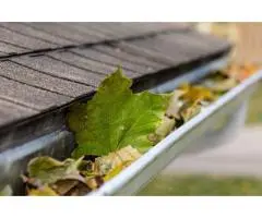 Professional Gutter Cleaning in Sydney’s Inner West