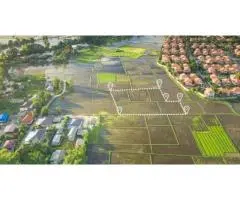 Why Is Property Registry Online Important for Buyers?