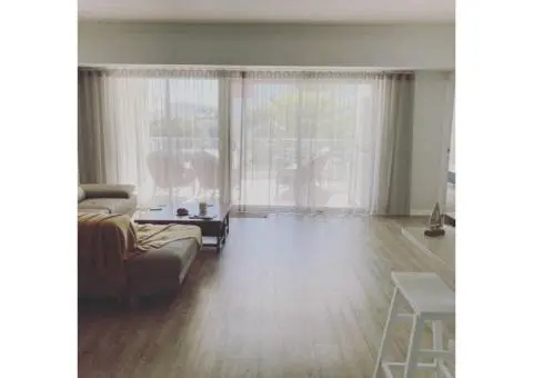 Give Your Windows the Glow-Up They Deserve.