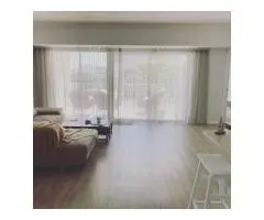 Give Your Windows the Glow-Up They Deserve.