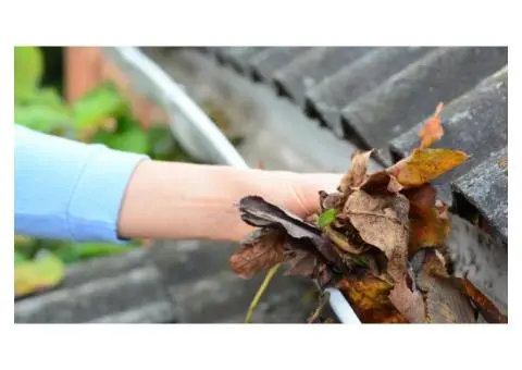 Professional Gutter Cleaning in Wollongong