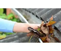 Professional Gutter Cleaning in Wollongong