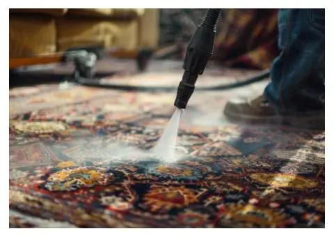 Refresh Your Home with Expert Carpet & Upholstery Cleaning in Sutherland Shire