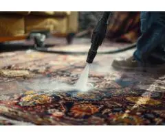 Refresh Your Home with Expert Carpet & Upholstery Cleaning in Sutherland Shire