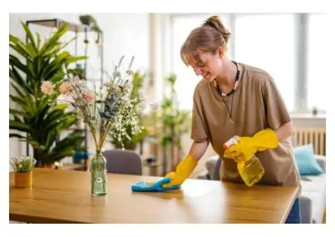 Dreaming of a perpetually pristine home without the effort?