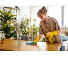 Dreaming of a perpetually pristine home without the effort?