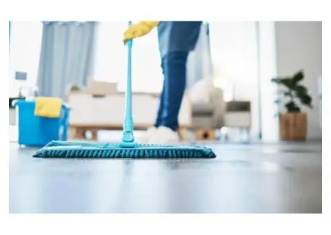 Dreaming of a perpetually pristine home without the effort? - 2/2