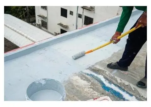 Professional Roof Painting Services You Can Trust
