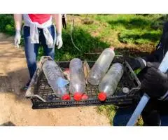 Easy Bottle & Can Pickup in Sydney – Get Paid Instantly!