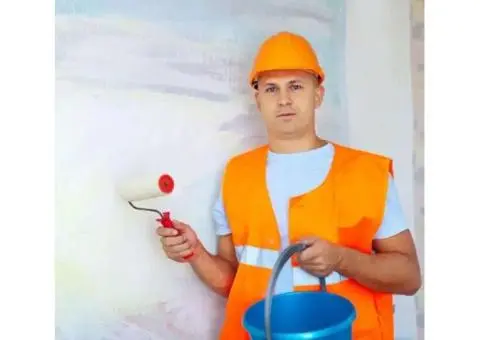 Refresh Your Home With Beautiful Home Painting in Cranbourne - 3/4