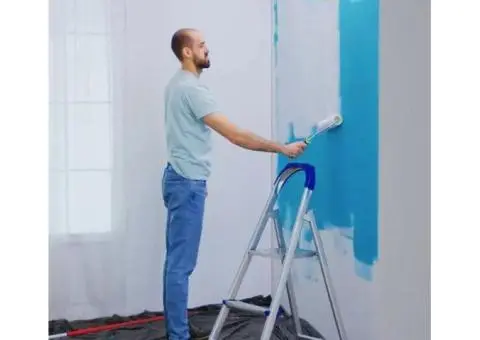 Refresh Your Home With Beautiful Home Painting in Cranbourne - 4/4