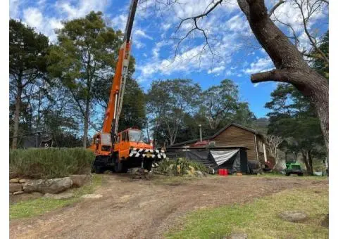 Expert Tree Removals in Wollongong - Trusted Arborists at Your Service!