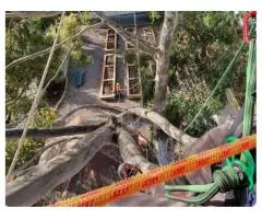Professional Arborist Services – Expert Tree Care & Removal Guaranteed
