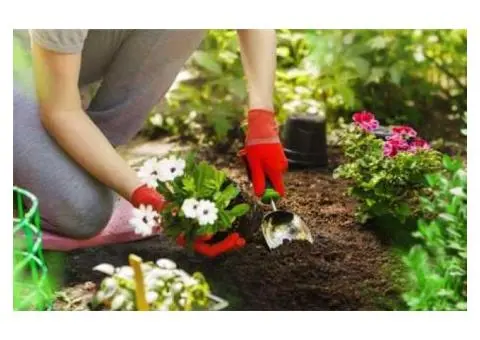 Professional Garden Cleaning Service – Gayaa Facility Services