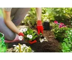 Professional Garden Cleaning Service – Gayaa Facility Services