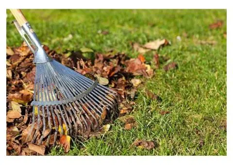 Professional Garden Cleaning Service – Gayaa Facility Services - 2/2
