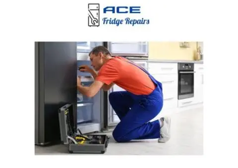 Professional Fridge Repairs Strathfield You Can Rely On