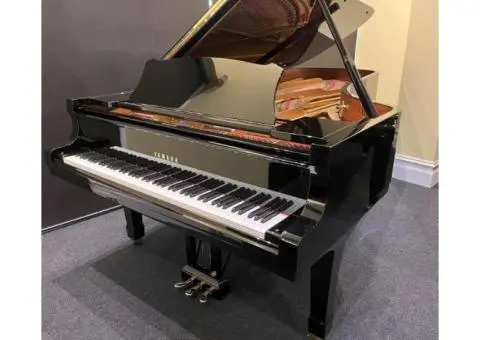 Get the Majestic Yamaha Concert Grand Piano for a Terrific Performance