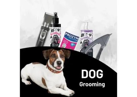 Keep your dog looking fresh and feeling great at Petservo.