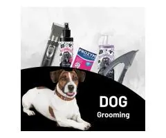 Keep your dog looking fresh and feeling great at Petservo.