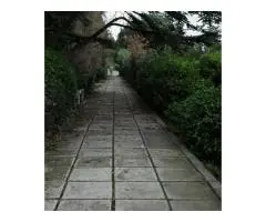 Upgrade Your Outdoors with Concrete Landscaping