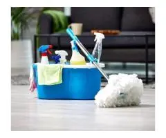 Need a carpet refresh in Glen Iris?