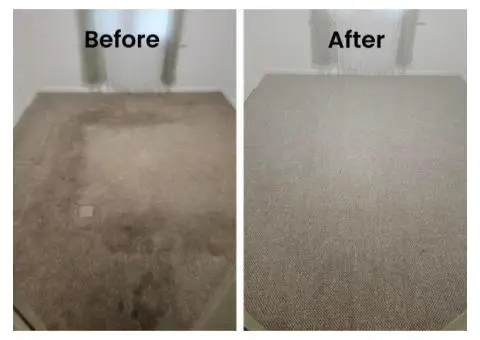 Need a carpet refresh in Glen Iris? - 5/6