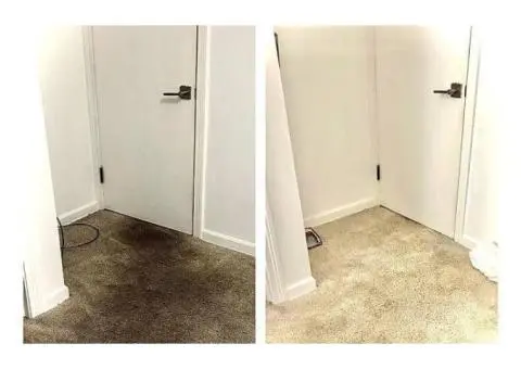 Need a carpet refresh in Glen Iris? - 6/6