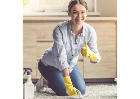 Carpet Cleaning Pet Urine Removal in Melbourne - 3/4