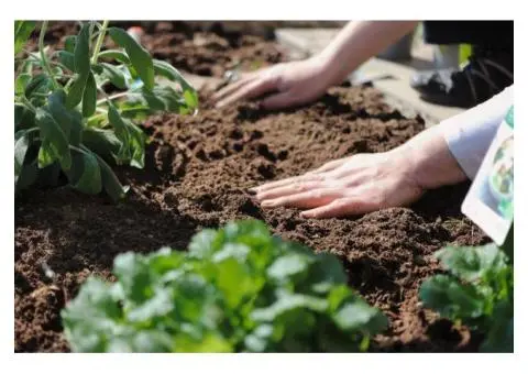 Slow Release Organic Fertiliser: A Simple Guide for Healthy Soil and Long-Lasting Plant Growth