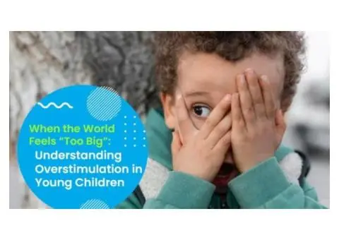 Managing Overstimulation in Young Children at Read 2 Grow Nollamara