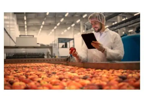 End-to-End Staffing Solutions for Food Manufacturers in Australia
