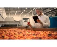 End-to-End Staffing Solutions for Food Manufacturers in Australia