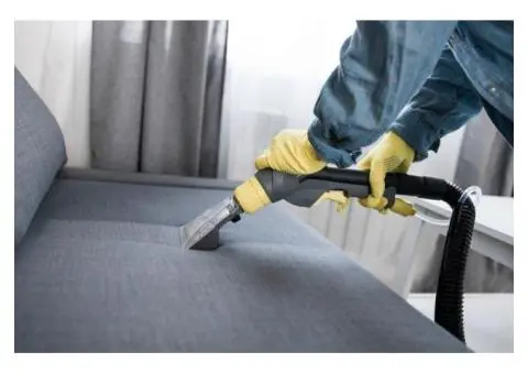 Transform Your Carpets with Sydney’s Trusted Eco-Cleaning Experts
