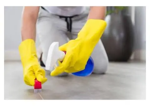 Sofa cleaning brisbane -  Ezydry