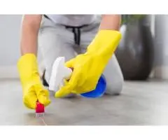 Sofa cleaning brisbane -  Ezydry
