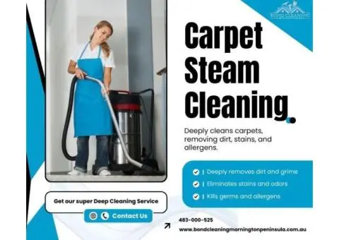 Trusted Carpet Steam Cleaning Professionals