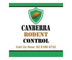 Canberra Rodent Control