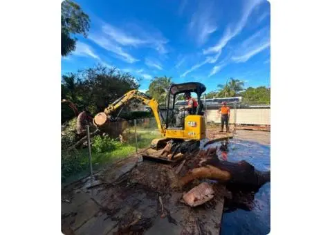 Hire an Experienced Arborist in Sydney