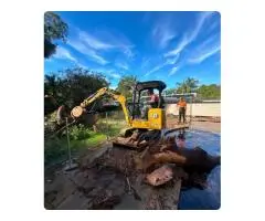 Hire an Experienced Arborist in Sydney