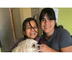 Get Peace of Mind with Trusted NDIS Respite Providers Offering Professional Care