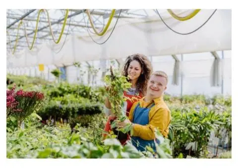 Transform Your Outdoors with Professional NDIS Gardening Services