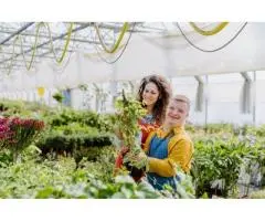 Transform Your Outdoors with Professional NDIS Gardening Services